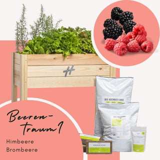Balkongarten Boho