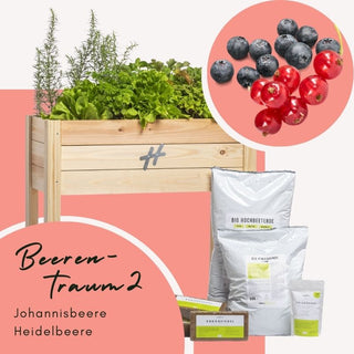 Balkongarten Boho