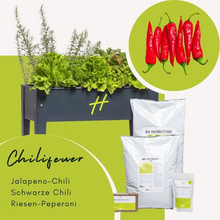 Balkongarten Loft