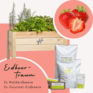 Balkongarten Boho