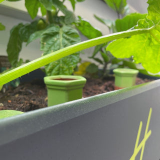 Selbstbewässerung Ollas