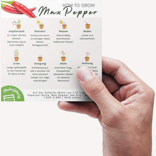 Peperoni Max Pepper Pflegeanleitung