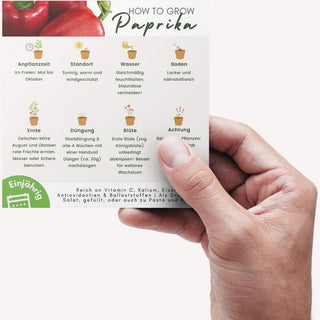 Paprika Pflegeanleitung