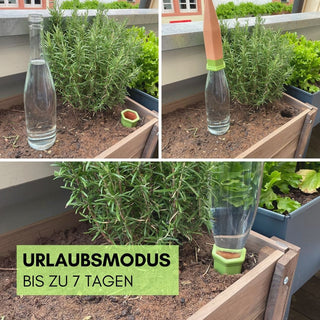 Selbstbewässerung Ollas