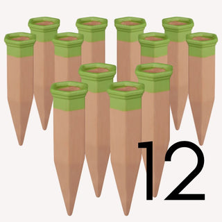 Selbstbewässerung Ollas